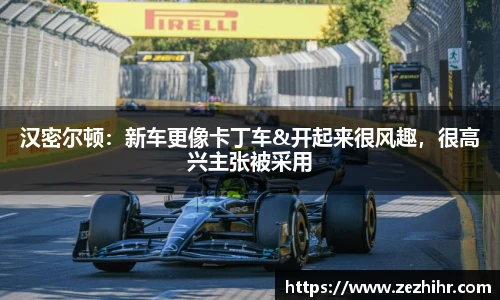 汉密尔顿：新车更像卡丁车&开起来很风趣，很高兴主张被采用